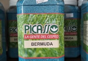 semilla de bermuda x 1 kilo